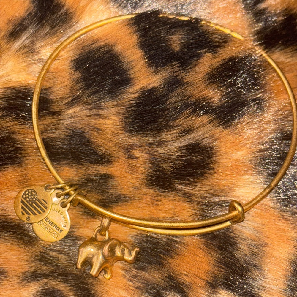 Alex and Ani Elephant Charm Bangle Bracelet